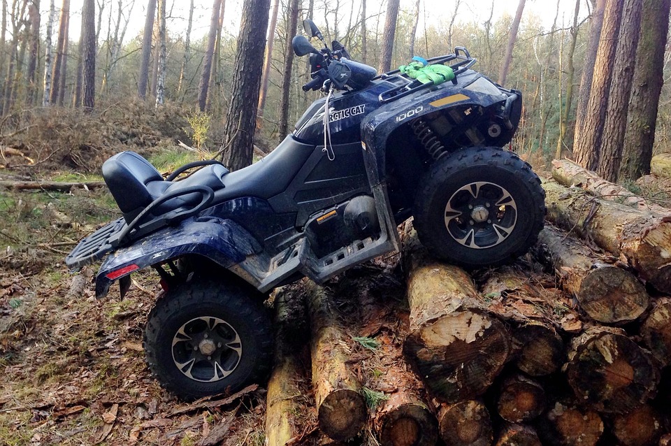 תוצאת תמונה עבור ‪Arctic Cat atv‬‏